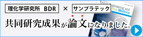 共同研究成果が論文になりました。